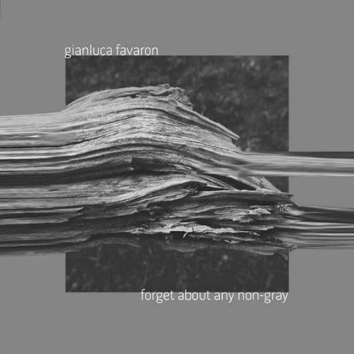 Gianluca Favaron – 'Forget About Any Non-Gray' (2015)